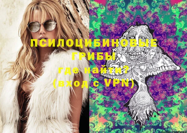 стаф Нефтегорск
