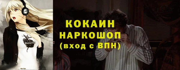 прущие крисы Новодвинск