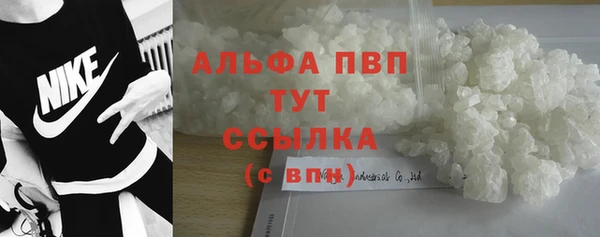 прущие крисы Новодвинск
