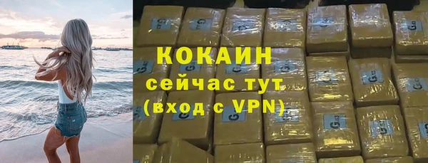 стаф Нефтегорск