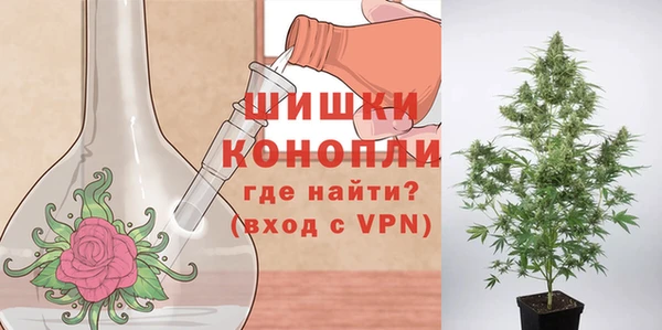 прущие крисы Новодвинск