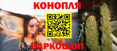 индика Будённовск
