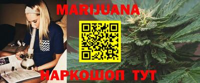 индика Будённовск