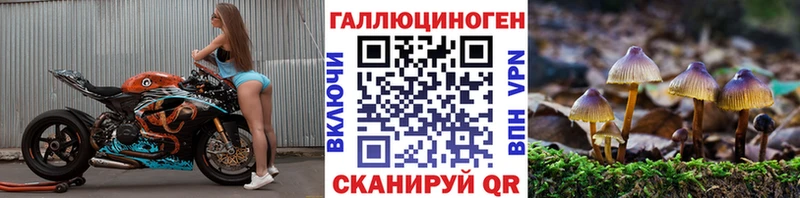 Псилоцибиновые грибы мицелий Ржев