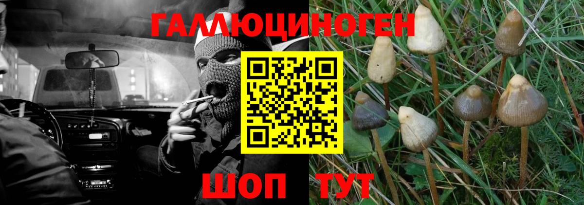 Галлюциногенные грибы MAGIC MUSHROOMS  Вход с VPN  Ржев  Галлюциногенные грибы ЛСД 